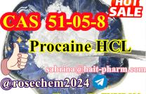 Cas 51-05-8 Procaine Hydrochloride/Procaine Hcl High Quality +8615355326496 mediacongo